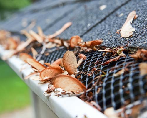 Gutter guard on home
