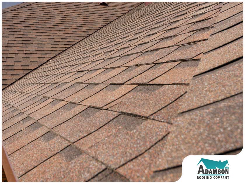 What You Need to Know About Asphalt Shingles
